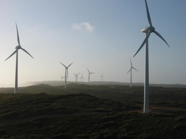 Windmills in the mist.
I thought they looked just a little bit creepy! (Edit: probably meant sinister - I  imagined them striding down the hill ... ok pretty weird!)