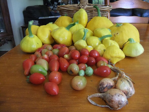 Here are our garden offerings - squash, tiny tomatoes and some little onions!