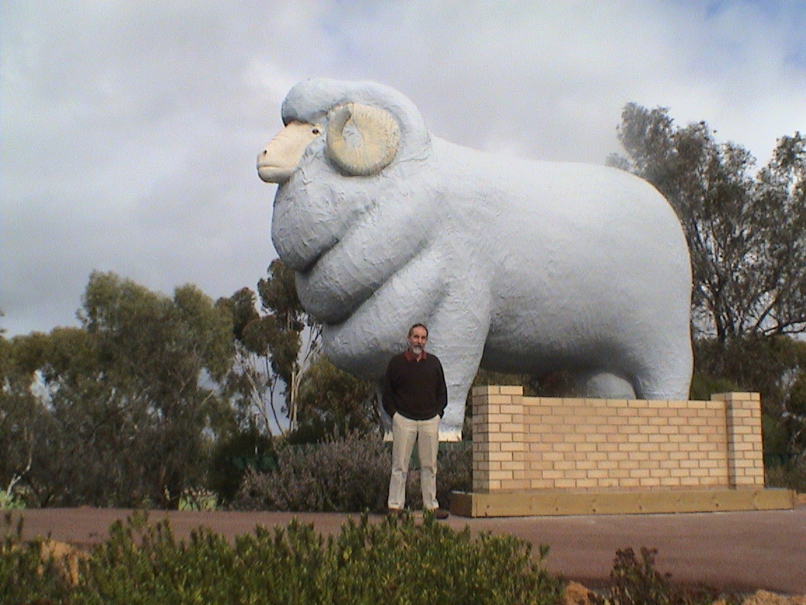 The Giant Ram of Wagin Western Australia