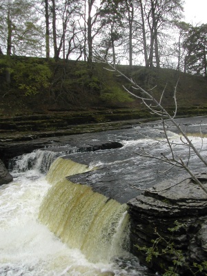 Plenty of water coming over the falls at present.