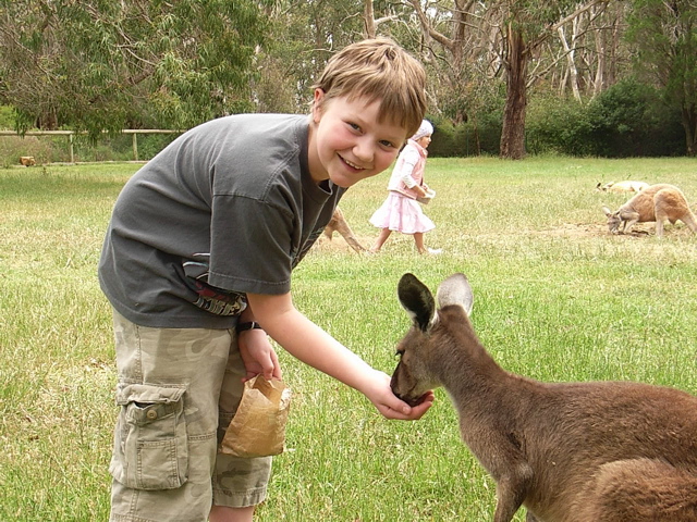 At Cleland Wildlife park