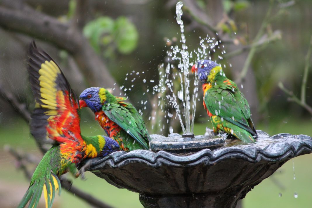 Bath time