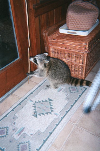 1998 - If I close these blinds, maybe I won't get caught.