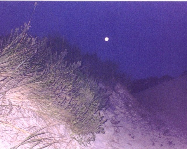 I took this back in 2003.  The moon cast enough light to search for shells on the beach at 5 am!