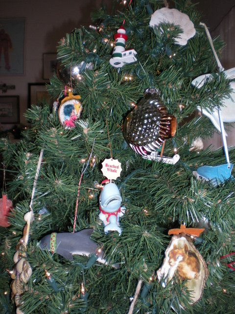 Close up of our teeny beach-theme Christmas tree