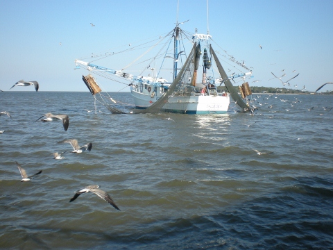 Passing another shrimp boat