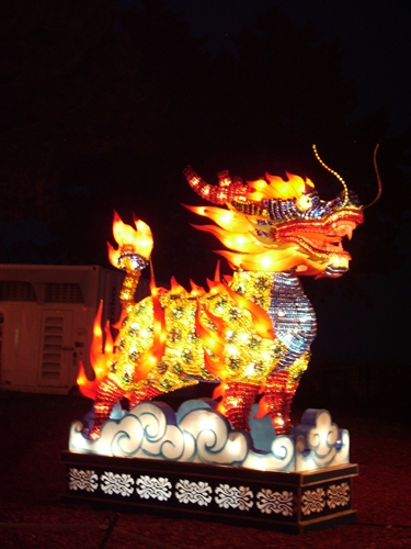 "Small" dragon (approx. 8' high)