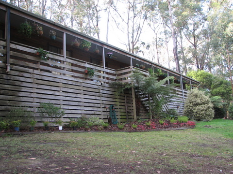 This is the 'front' of our house, the side that faces the road.
The south side.