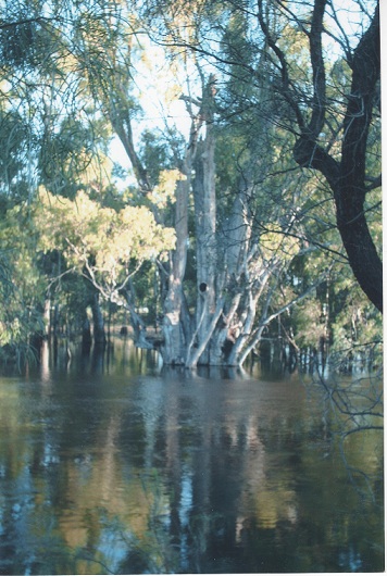 The river is looking much healthier!