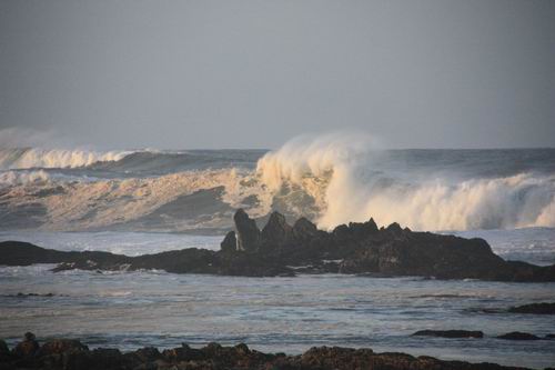 From Jack Smith's Gulch, West coast of Tasmania