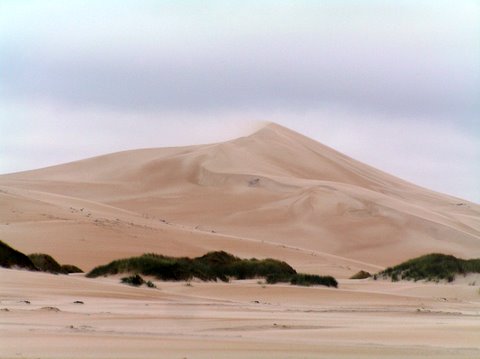 Along the Sandy Cape Beach. 