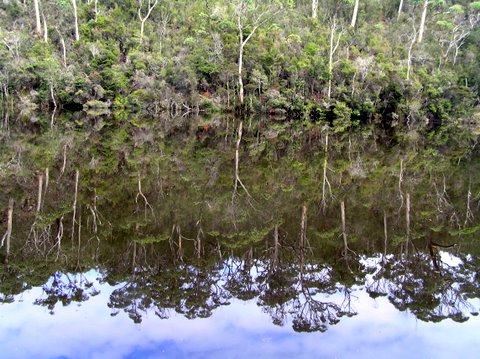 Arthur River