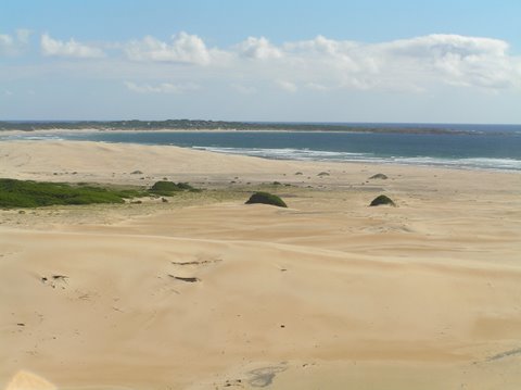 From top of a sand dune. nth of the cape.