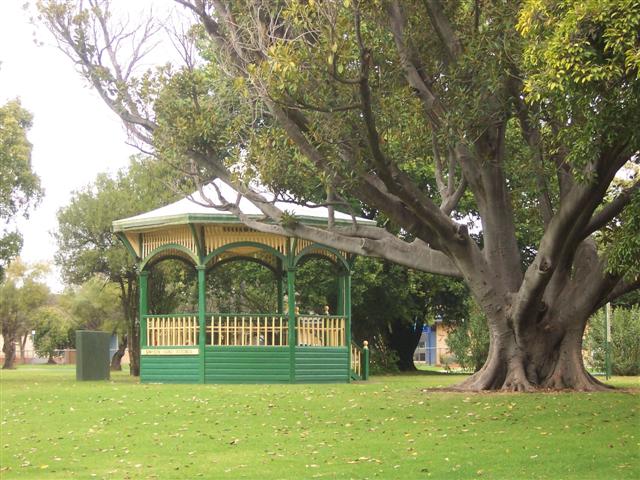 This is an old band rotunda which is still used today. Beside it is a huge Moreton Bay Fig. 