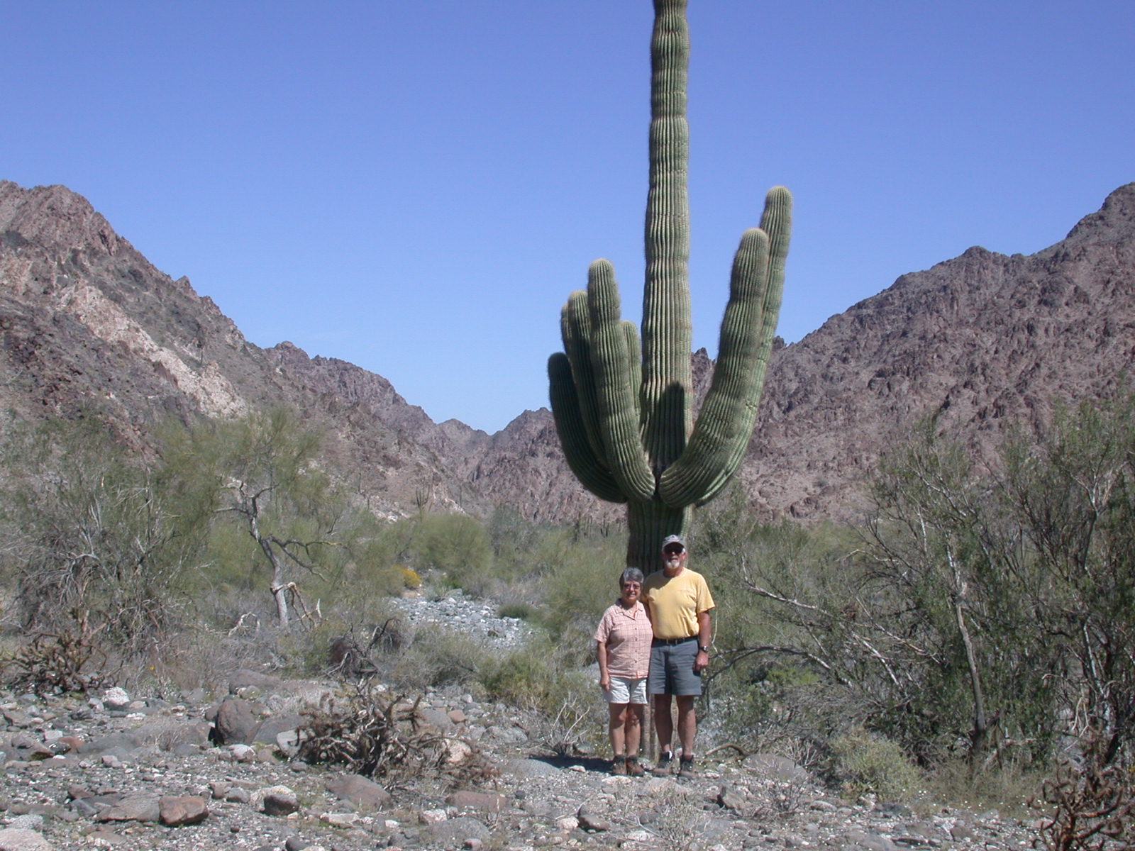 These cactus grow very tall.  Linda and I at the base of a very old Saguaro ... even older than me.