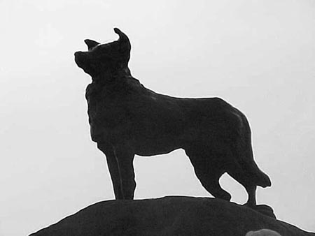 Statute in front of the Good Shepherd Chapel - honoring the Shepherds best friend (the sheep dog).