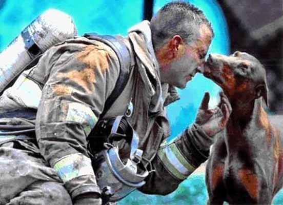 Cinnamon, a pregnant red doberman, kisses fireman that stops to rest after putting the fire out at her home.  Photo taken by a Charlotte, NC reporter in 1999.