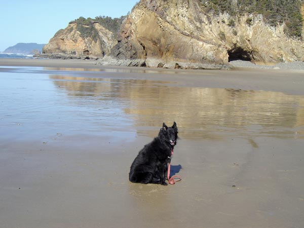 Sign says dogs must be on leash.  Note the leash.