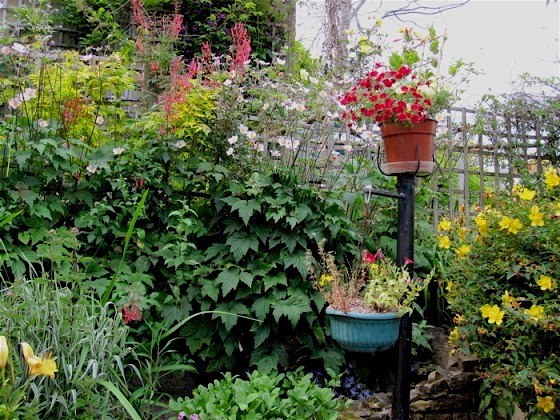 Ray's Garden, July 2012.   The pole used to be a garden lamp, but has been converted with the breakdown of its original function.   The lower flowering basket is not so good - maybe the soil is rather poor recycled compost.  I like the red flowers in the upper basket, but we don't know what they are.   The Japanese anemones are great this year - some of the sprays are 8 to 10 feet high.