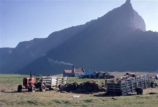 Hay-making on a family farm, in the shadow of Europe's highest sea-cliffs. The coastal farmers of the north coast of the Pingeyri peninsula; NW Iceland, supplement their income by taxing the down, used by eider duck to line their nests within the colonies of birds that 'camp' on their land. 1966