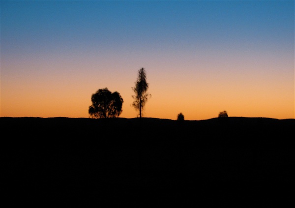 Near Uluru.