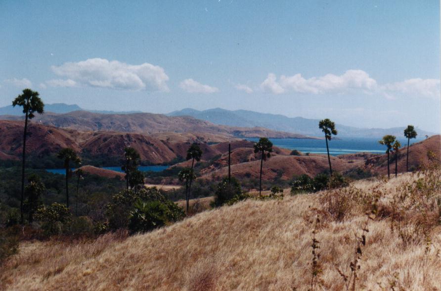 Part of Komodo National Park