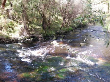 Wonderful Western Australian Bush Track