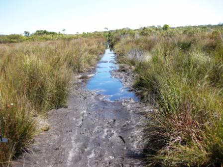 The book did say"some wading required" but at least it was only ankle deep, 2 weeks before had been thigh high