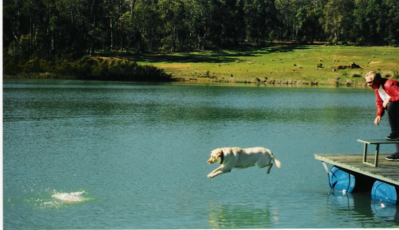 Doggy guest enjoying herself!!!