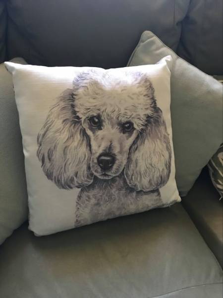 The cushion I just bought (2021) to remember her forever.  