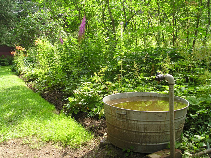 McLaughlin Gardens, Maine