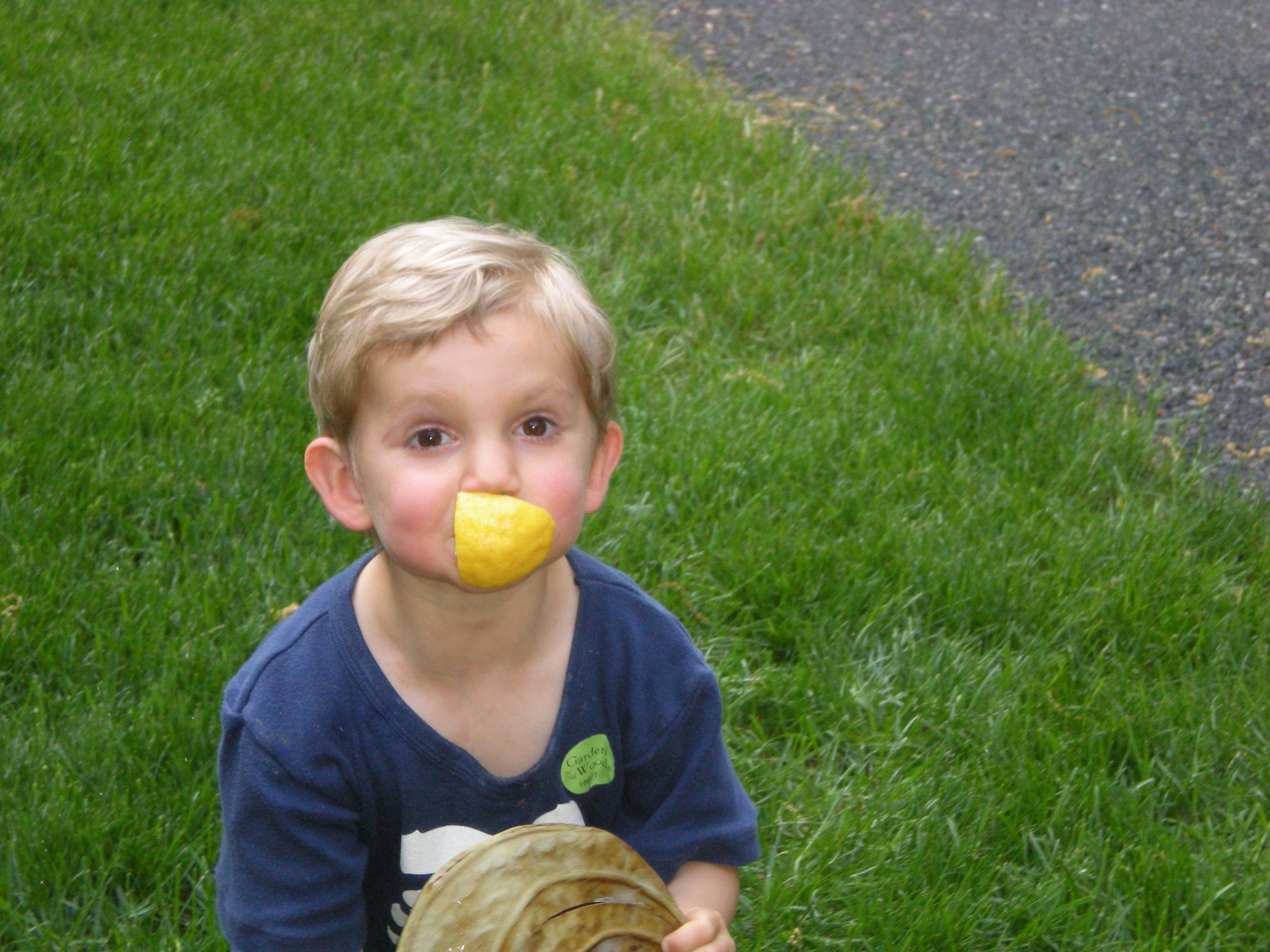 Yes, my grandson actually enjoyed the lemon!