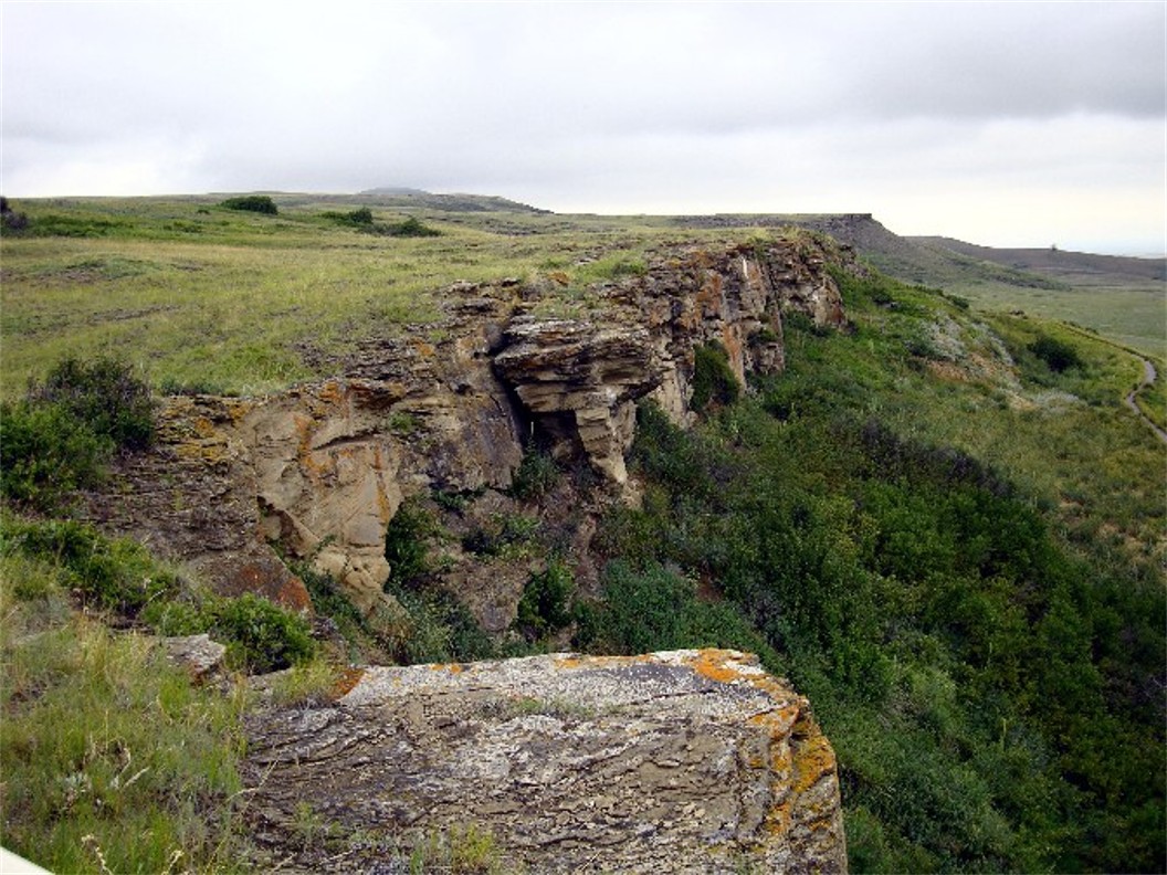 For several hundred years each Fall, the Blackfoot Indians would stampede up to 300 bison over this cliff. Took care of much of their needs for a year. Northeast of Waterton NP in southern Alberta, Canada.