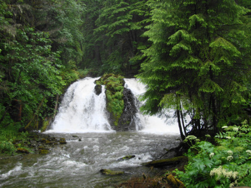 In Juneau I went to a salmon bake. This waterfall was on a nearby trail.