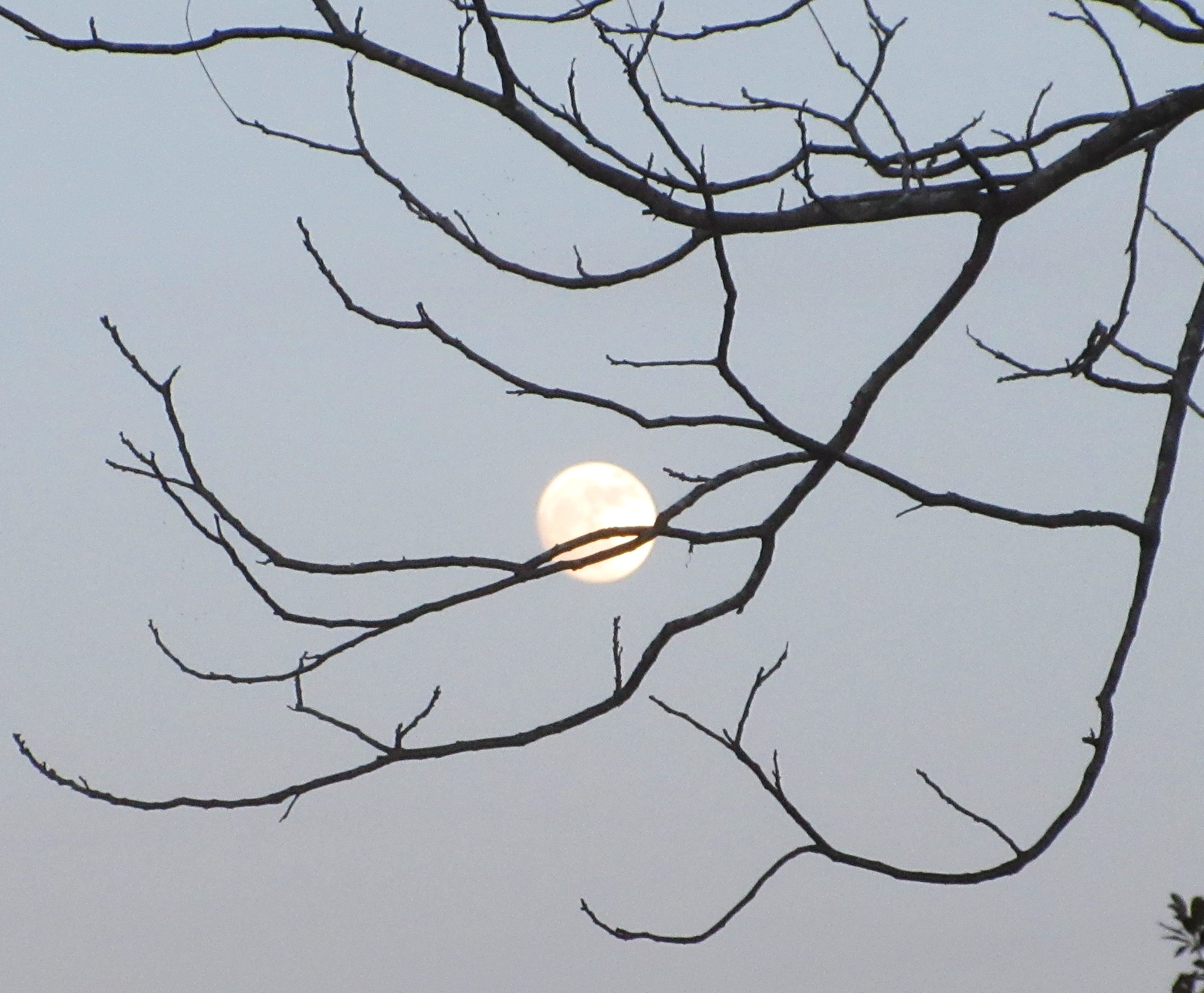 The last full moon of 2019 occurred on 12/12 at 12:12 (local time). I took this picture one day (30 hours, actually) before.