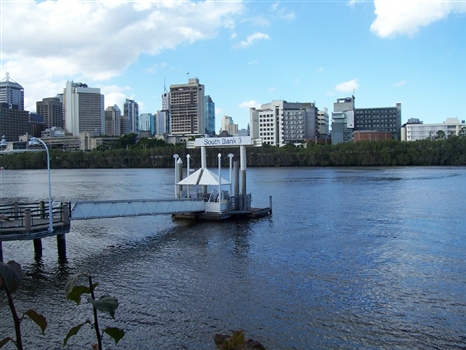 Looking north across the Brisbane River to the City with QUT (University) and the Botanic Gardens on the right.