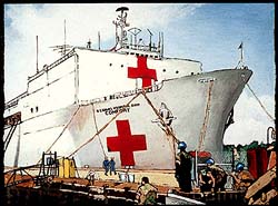 A United States Navy hospital ship.  This vessel and crew have helped people in crisis all over the world in times of need.