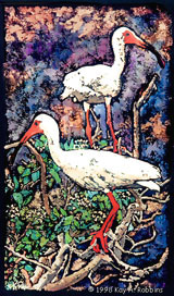 A pair of White Ibis overlooking the edge of the Cape Fear River.