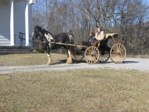 This is my Gypsy Vanner colt out for a drive with my horse trainer last year.