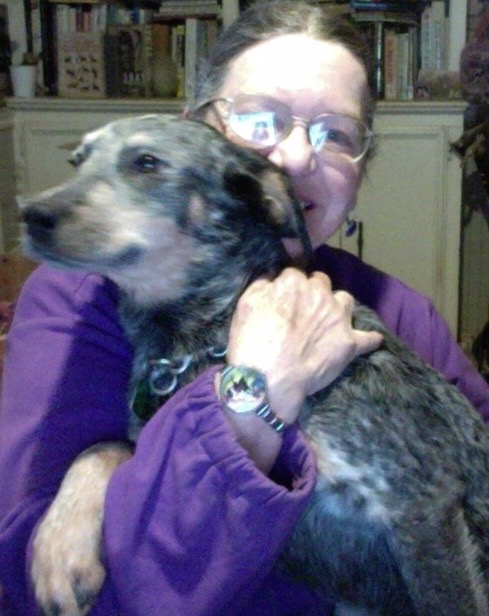 Jerri is just under 5 months old, weighs 20 lbs, and is an Australian Cattle Dog cross.