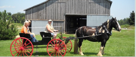 Here I am taking my Gypsy Vanner gelding "Challenger"  for a drive. My next door neighbor took this shot at her place.