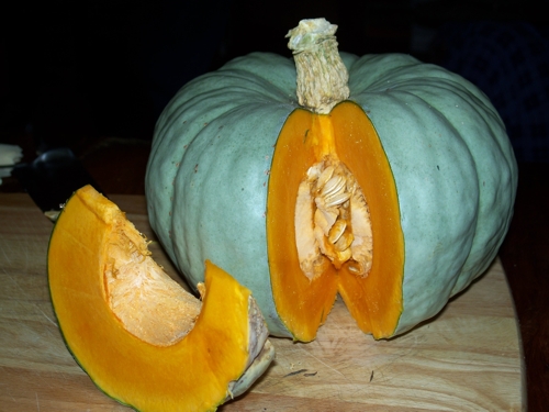 Queensland blue pumpkin getting chopped up for pumpkin soup.