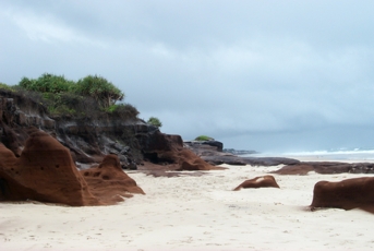 Bundjalung National Park, Northern NSW