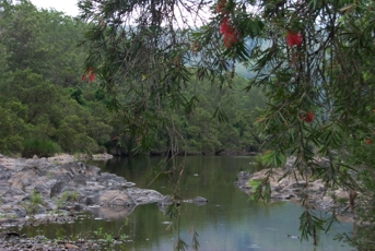 Near Grafton NSW