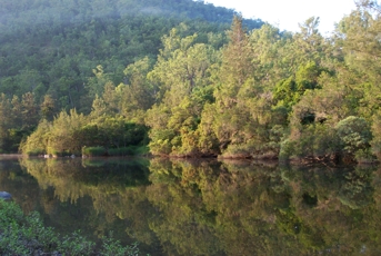 Early morning on the Boyd River