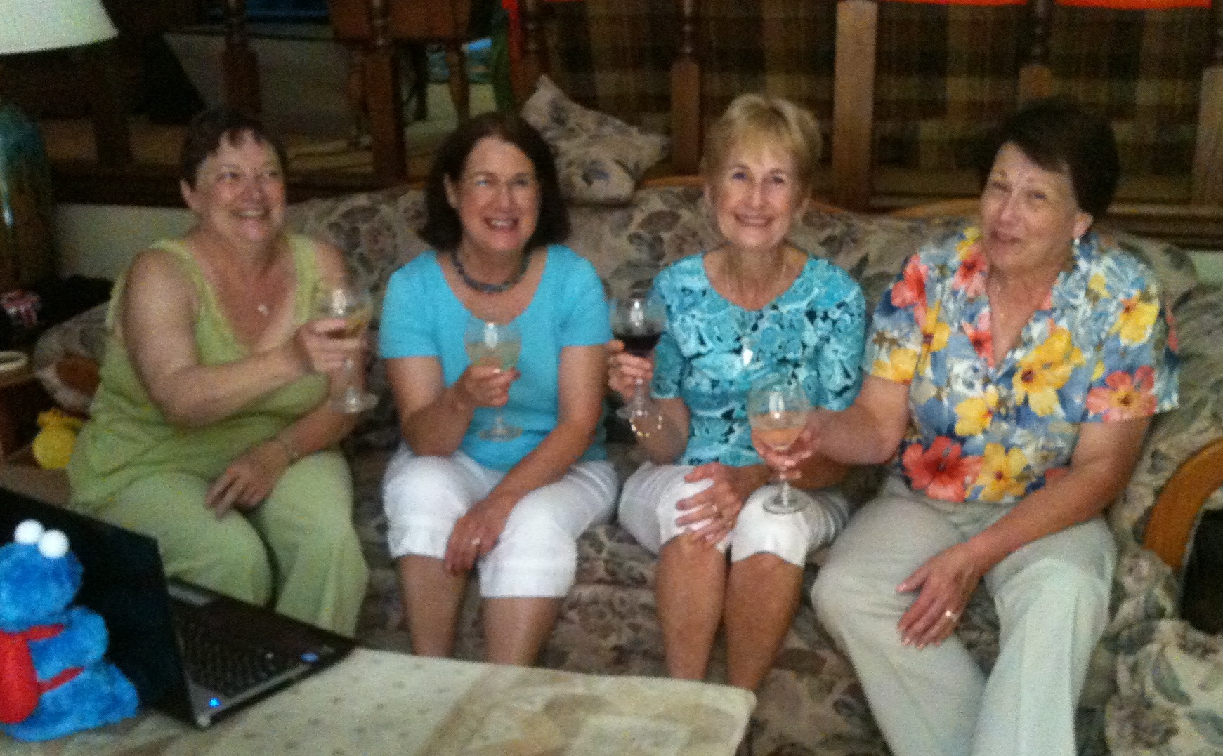 Laughter and even a few tears.  Our Sudokuland friendships mean a lot to us.  Debby's 2013 picnic to honor Kathy from Valrico's visit.  From L: Debby, Shiela, Kathy, Nancy.  Not pictured: Angi and Plum