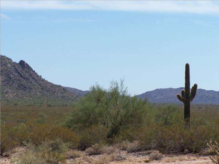 A beautiful desert scene in New Mexico. We were on our way home from Colorado.