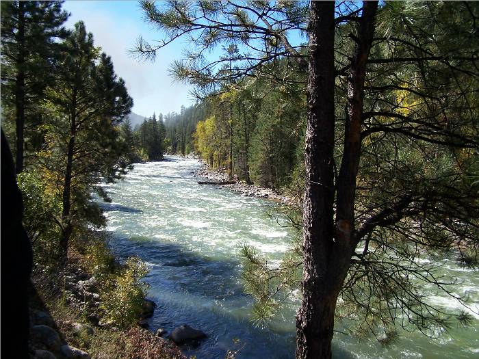 Another spectacular view in Colorado.  Can't you almost hear the water rushing?  