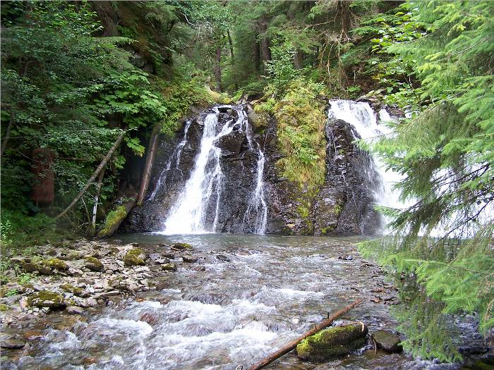 We hiked back along the creek to this peaceful waterfall.  It was part of our "Salmon Bake" experience, which was a highlight of our trip.