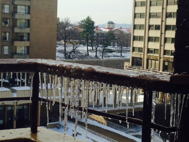 In the background, the State Department office building and one of the five residential buildings in Columbia Plaza.